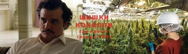 тгк Пролетарск