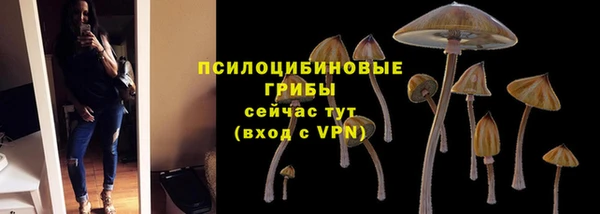 прущие грибы Алексеевка
