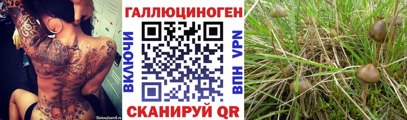 Псилоцибиновые грибы Magic Shrooms  Троицк 