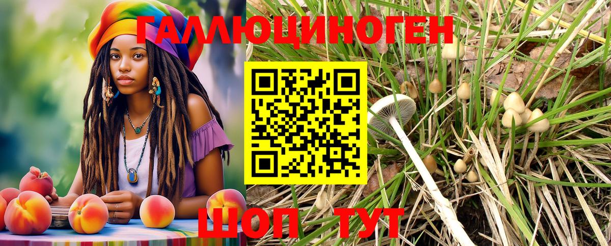 Галлюциногенные грибы Magic Shrooms  Вход с VPN  закладка  Троицк 